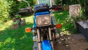 Suzuki   (2)