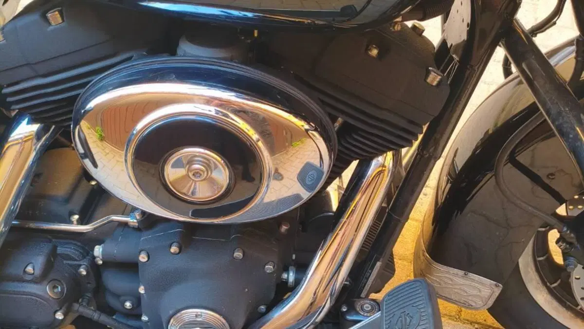 Harley-Davidson 1450 Electra Glide Classic (2002) - FLHTC  (5)