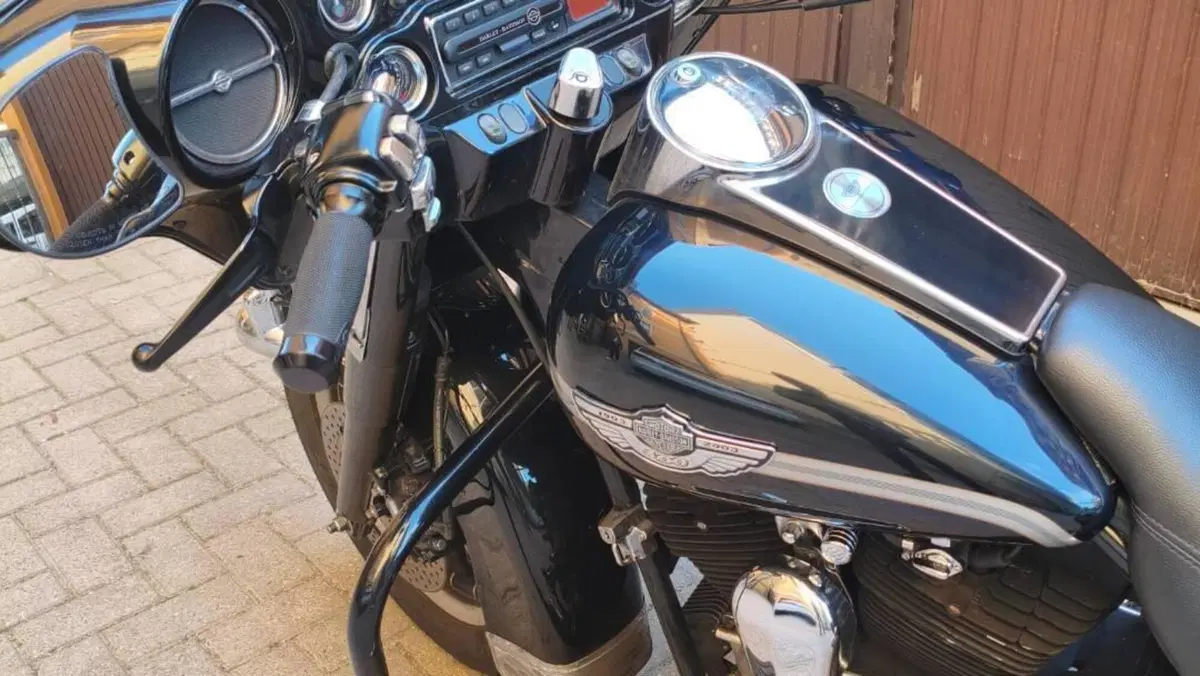 Harley-Davidson 1450 Electra Glide Classic (2002) - FLHTC  (8)