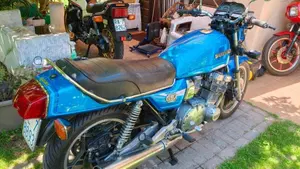 Suzuki   (5)
