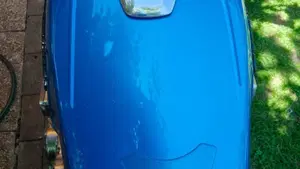 Suzuki   (12)