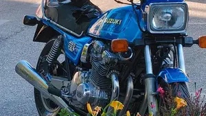 Suzuki   (18)