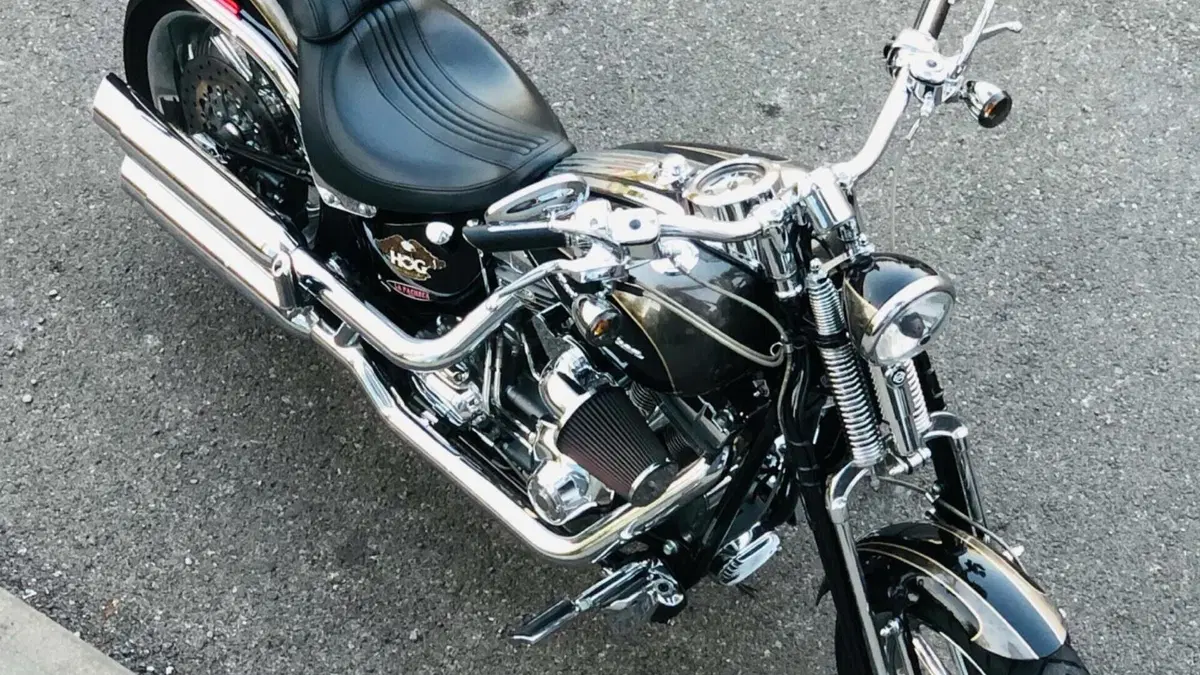Harley-Davidson 1800 Springer (2009 - 12) - FXSTSSE  (2)