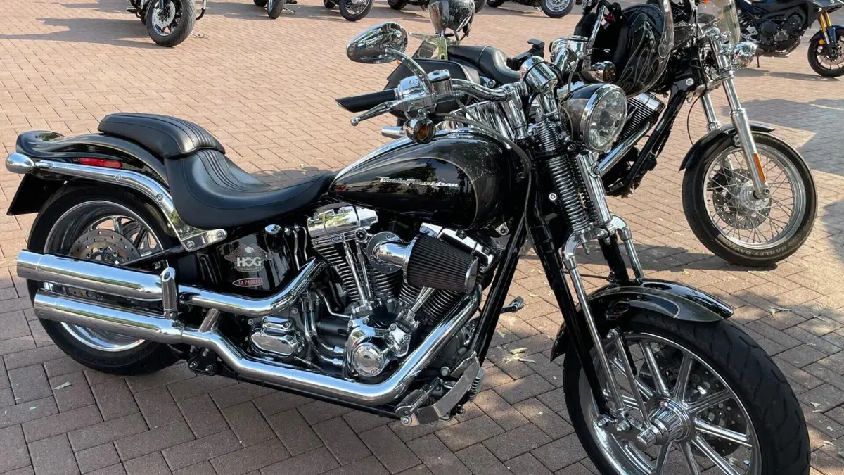 Harley-Davidson 1800 Springer (2009 - 12) - FXSTSSE  (3)