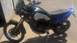Yamaha Ténéré 700 (2019 - 20)  (2)