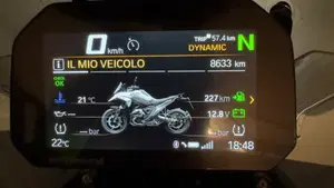 Bmw R 1300 GS Triple Black (2023 - 26)  (10)