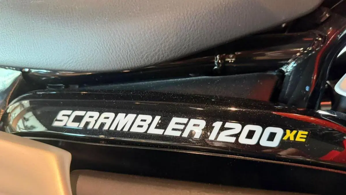 Triumph Scrambler 1200 XE (2026)  (6)