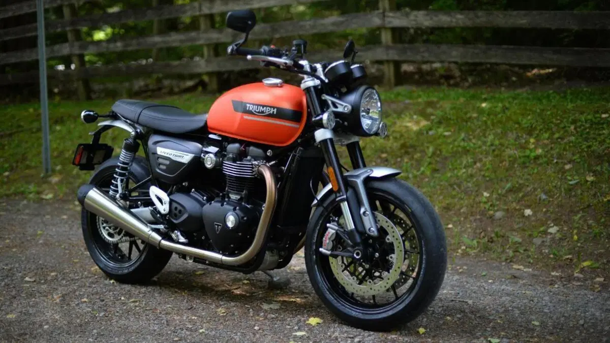 Triumph Speed Twin 1200 (2021 - 24)  (4)