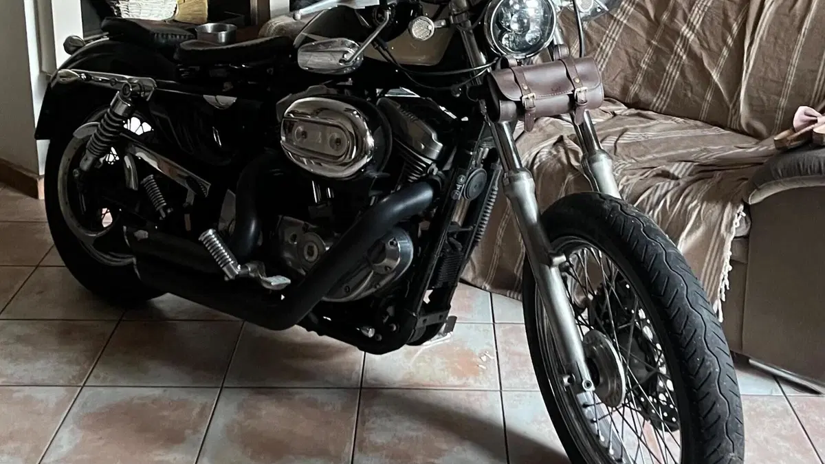 Harley-Davidson 883 (2008 - 09) - XL  (2)