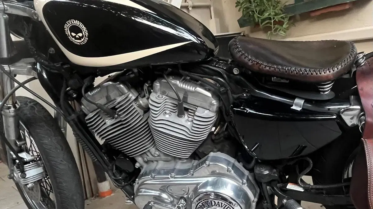 Harley-Davidson 883 (2008 - 09) - XL  (3)