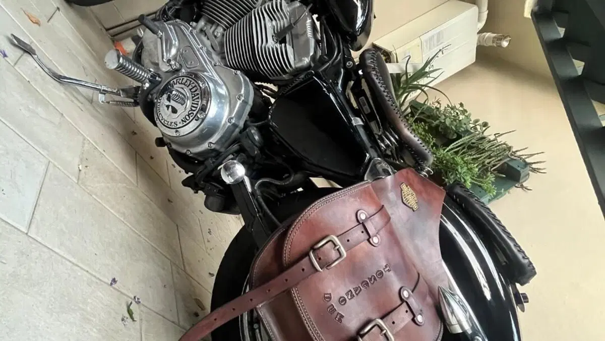 Harley-Davidson 883 (2008 - 09) - XL  (4)
