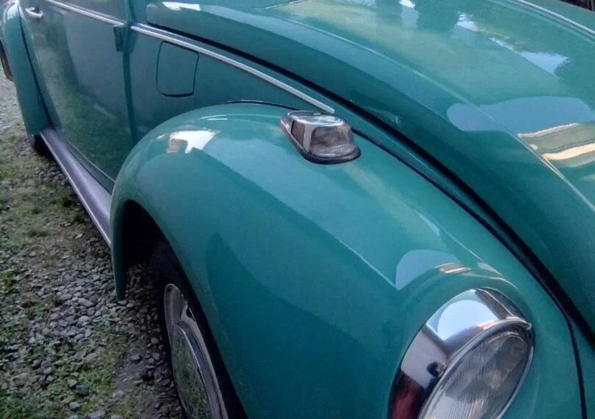 Volkswagen Maggiolino 11/D 11 1302  (5)