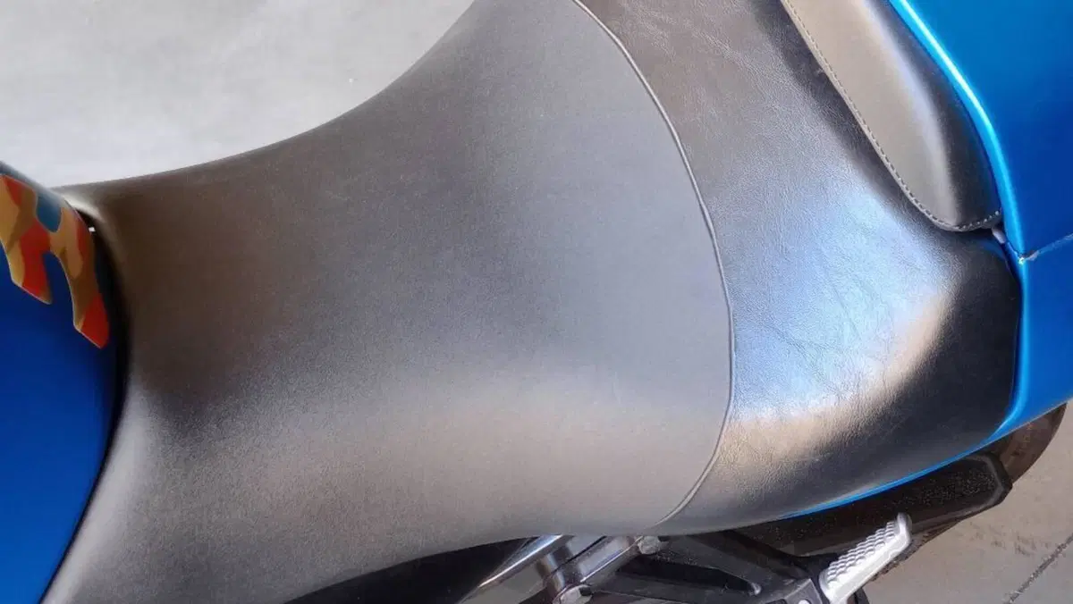 Kawasaki Ninja 1200 ZX-12R (2000 - 06)  (18)