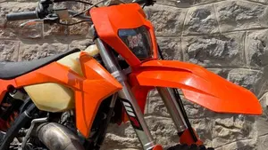 KTM 125 EXC (2012)  (9)