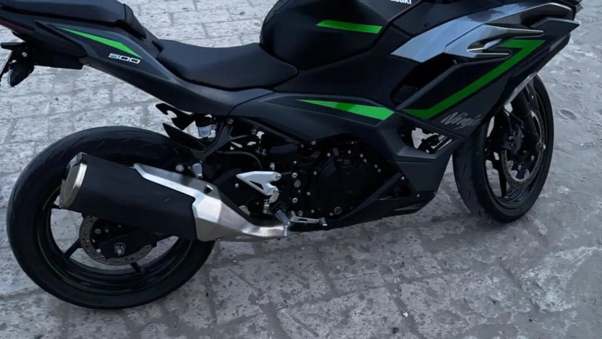 Kawasaki Ninja 500 SE (2024 - 26)  (4)