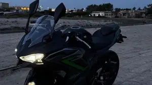 Kawasaki Ninja 500 SE (2024 - 26)  (6)