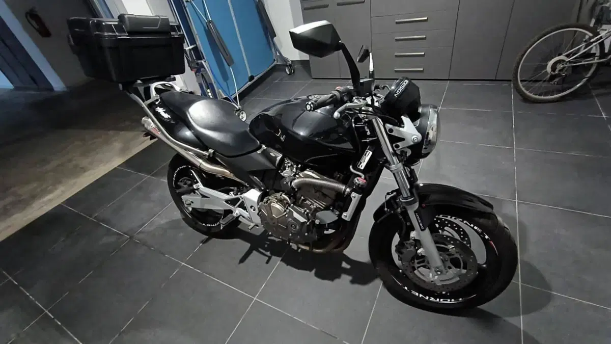 Honda Hornet 600 (2003 - 04)  (6)