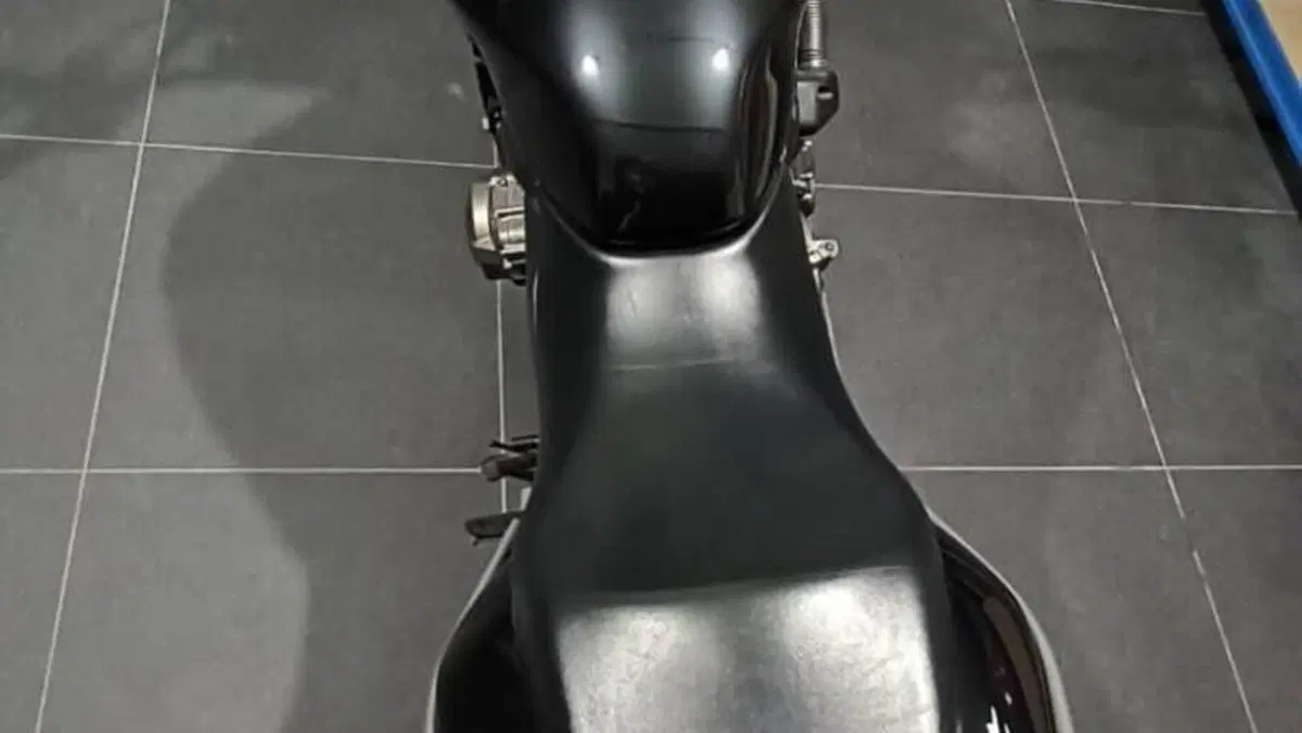 Honda Hornet 600 (2003 - 04)  (7)