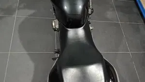 Honda Hornet 600 (2003 - 04)  (7)