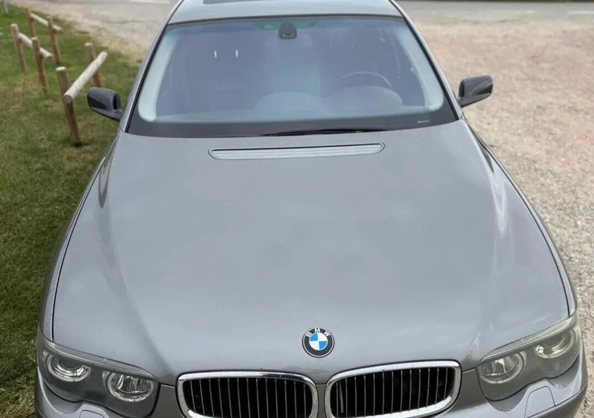 BMW Serie 7 745i cat (4)