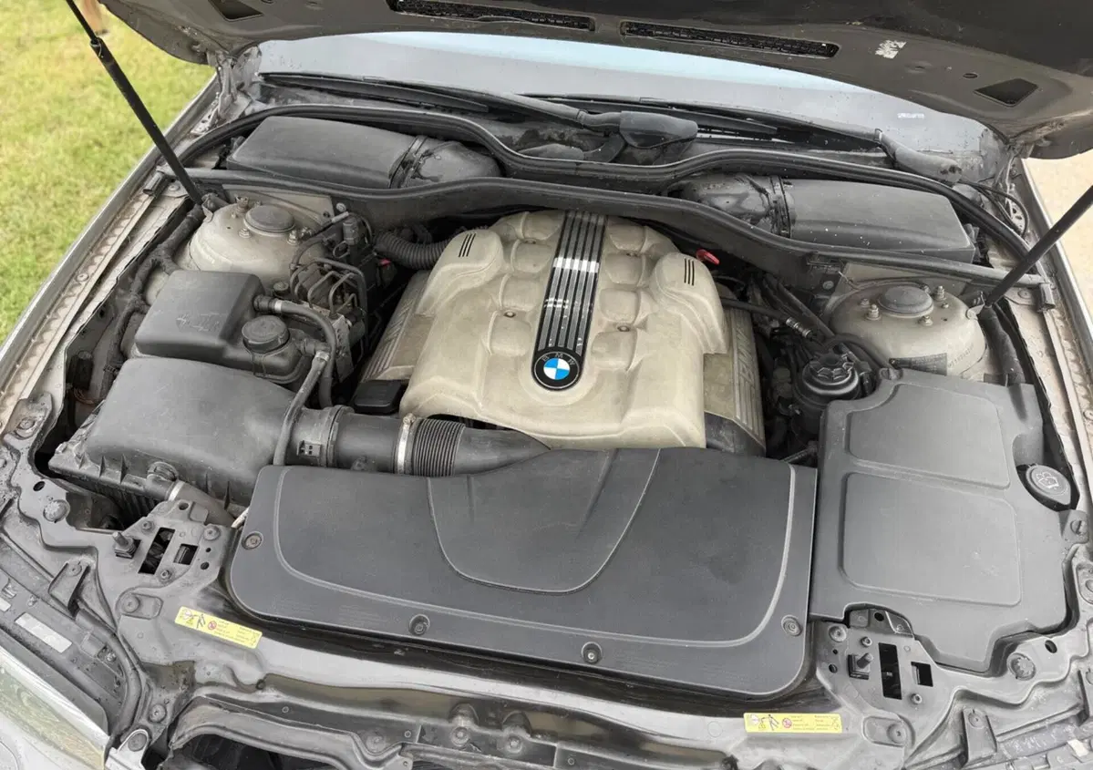 BMW Serie 7 745i cat (5)