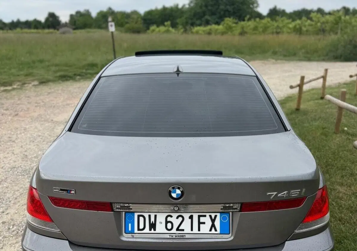 BMW Serie 7 745i cat (6)