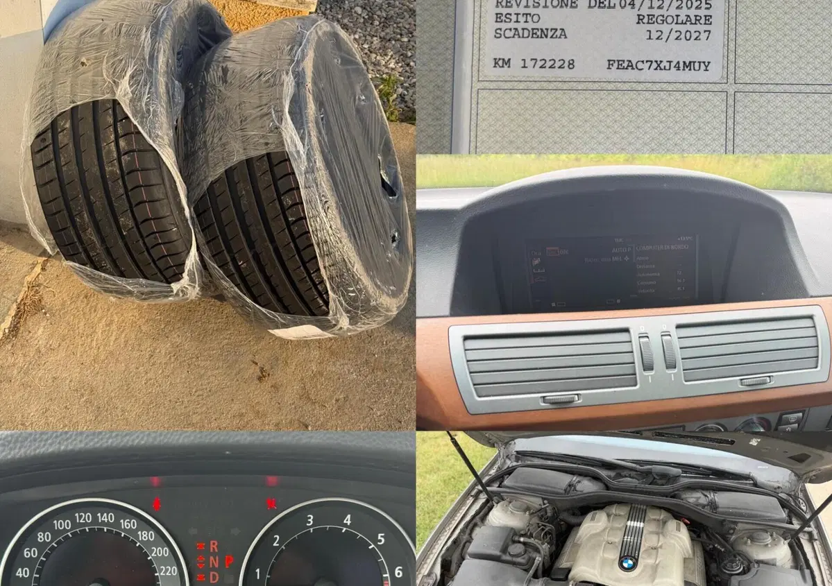 BMW Serie 7 745i cat (9)