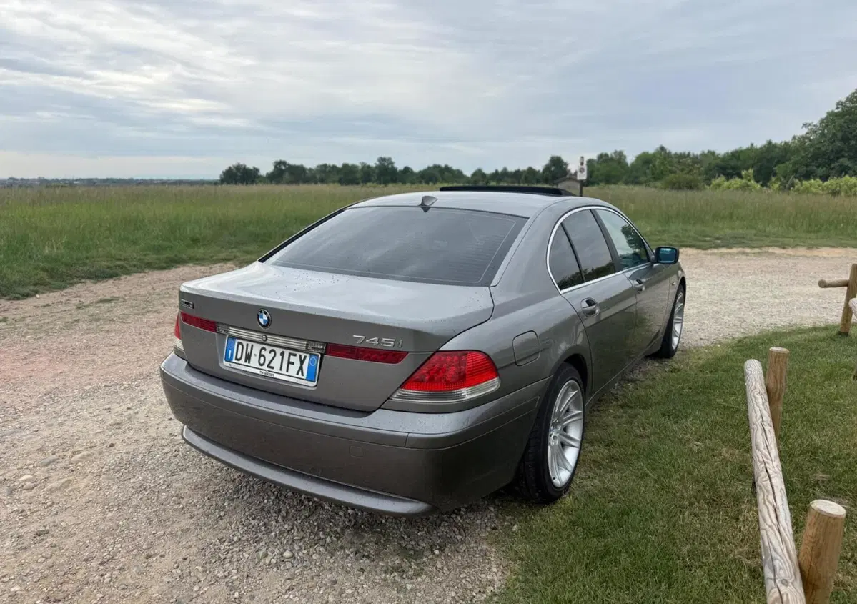 BMW Serie 7 745i cat (11)
