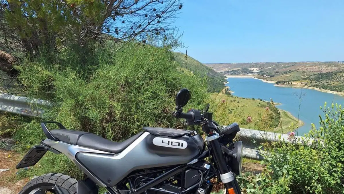 Husqvarna Svartpilen 401 (2020)  (3)