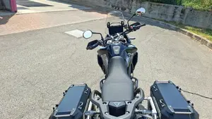 Triumph Tiger 900 GT Pro (2020 - 23)  (4)