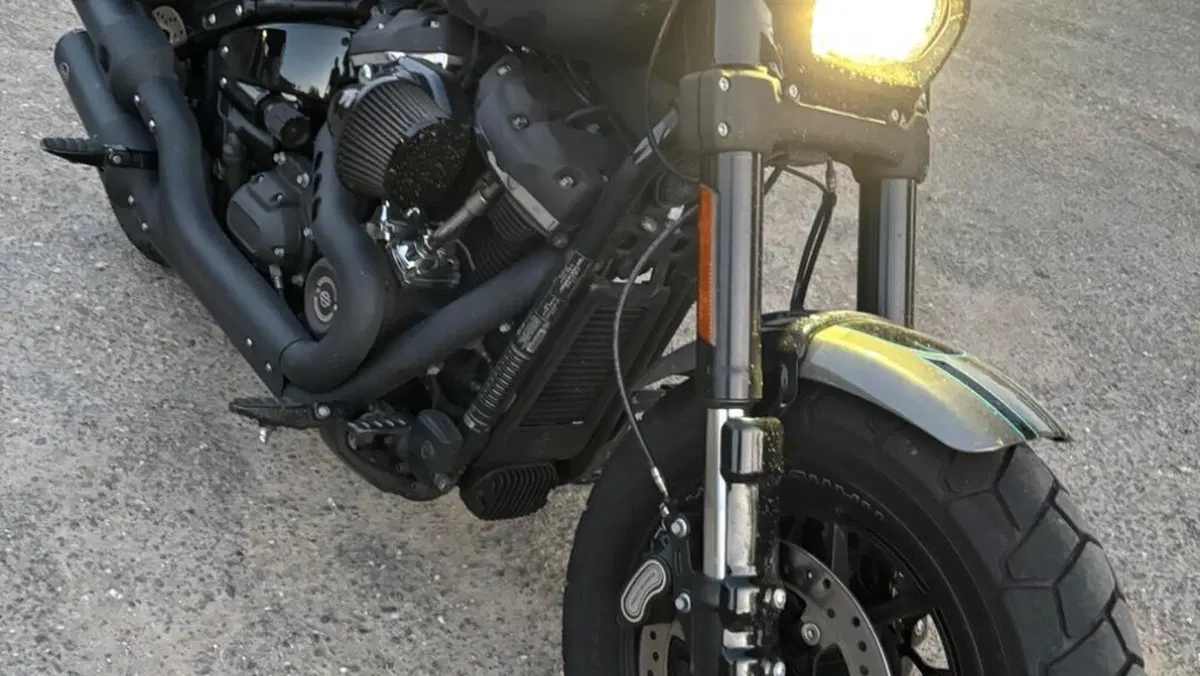 Harley-Davidson 107 Fat Bob (2017 - 20) - FXFB  (3)