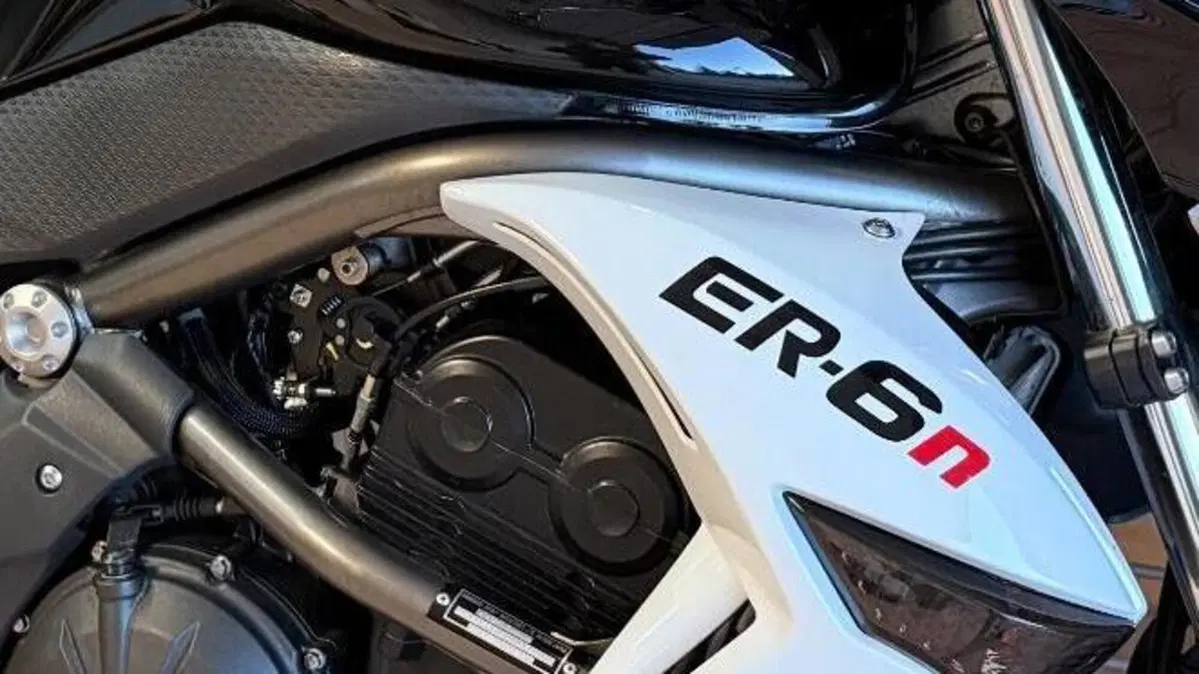 Kawasaki ER-6N (2009 - 11)  (6)
