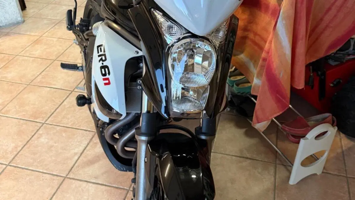 Kawasaki ER-6N (2009 - 11)  (7)