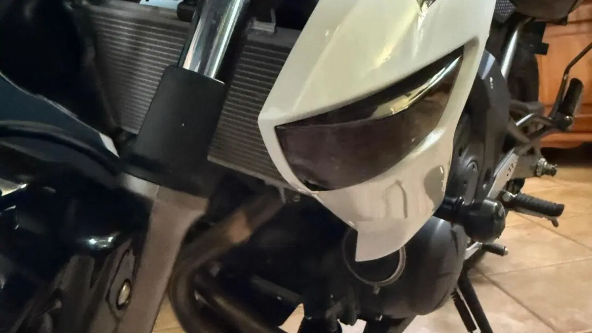 Kawasaki ER-6N (2009 - 11)  (8)