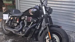 Harley-Davidson 1690 Fat Bob (2014 - 16) - FXDF  (5)