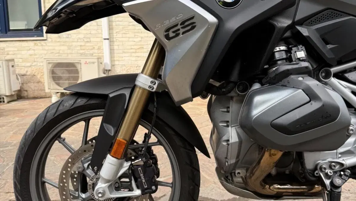 Bmw R 1250 GS (2019 - 20)  (2)