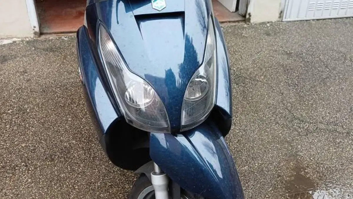 Piaggio X7 250 (2007 - 12)  (3)