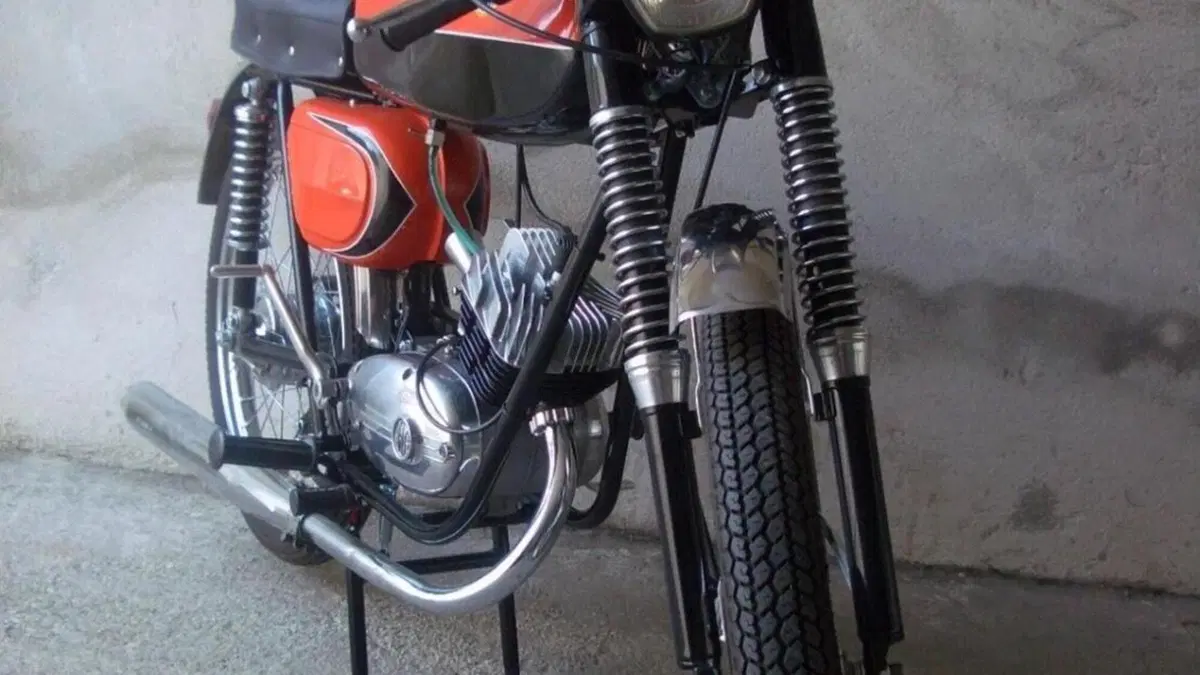 Betamotor   (3)