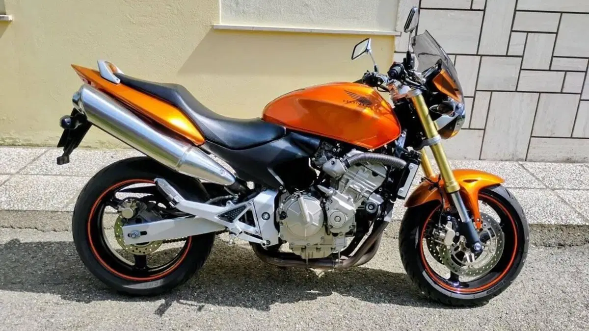 Honda Hornet 600 (2005 - 06) 