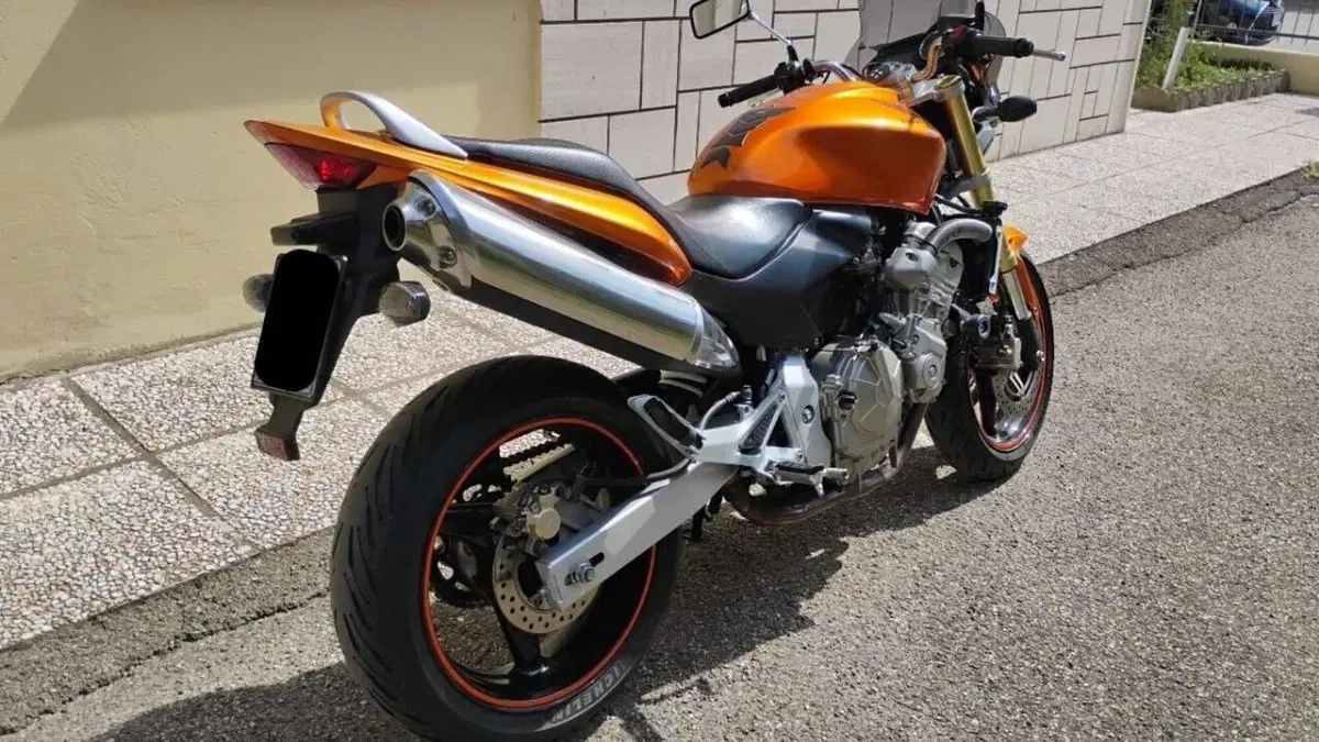 Honda Hornet 600 (2005 - 06)  (3)