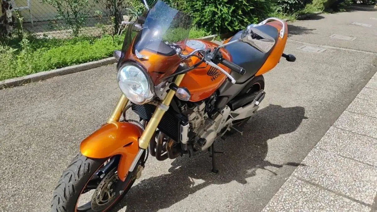 Honda Hornet 600 (2005 - 06)  (4)