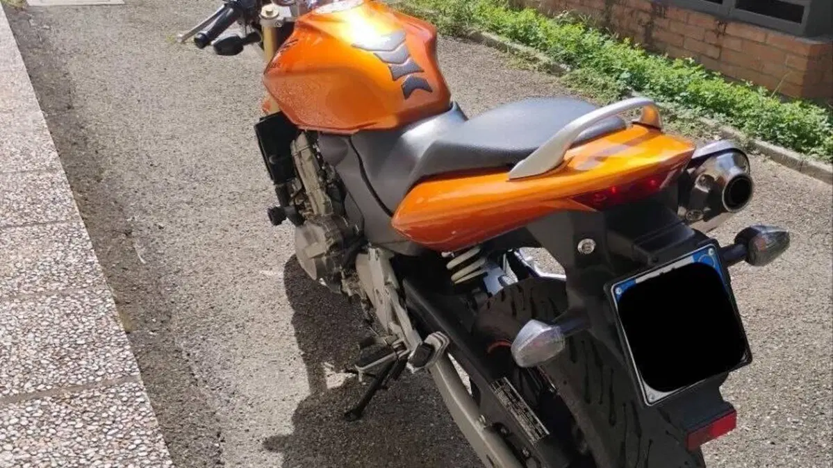 Honda Hornet 600 (2005 - 06)  (5)
