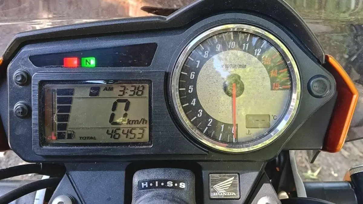 Honda Hornet 600 (2005 - 06)  (6)