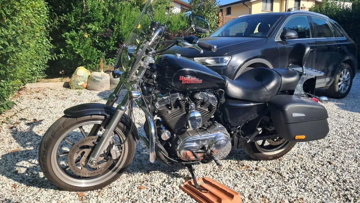 Harley-Davidson 1200 SuperLow (2014 - 16) - XL 1200T  (4)