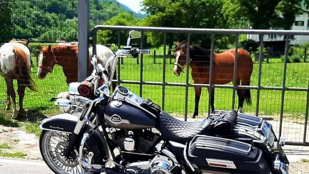 Harley-Davidson 1584 Road King (2006 - 07) - FLHR  (2)