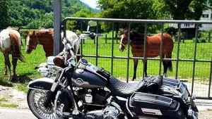 Harley-Davidson 1584 Road King (2006 - 07) - FLHR  (2)