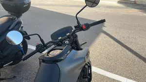 Husqvarna Svartpilen 401 (2024 - 26)  (4)
