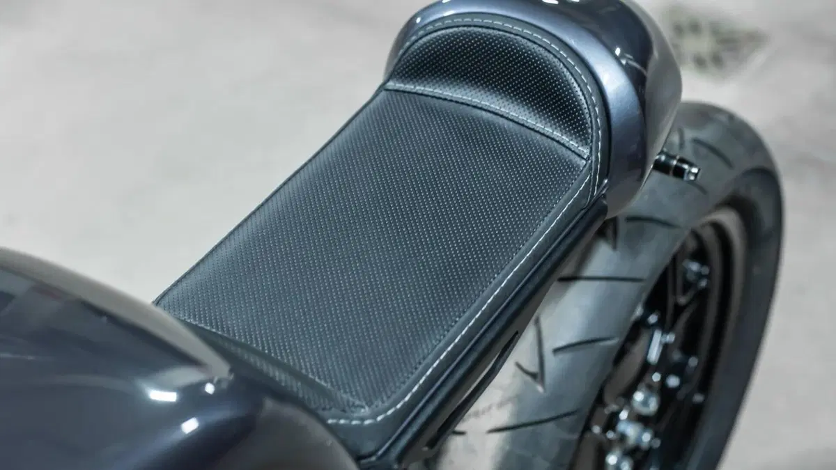 Bmw R 100  (4)