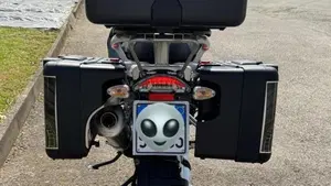 Bmw R 1200 GS (2008 - 09)  (8)