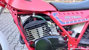 Fantic Motor   (5)